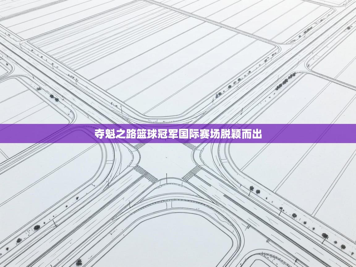 夺魁之路篮球冠军国际赛场脱颖而出  第2张