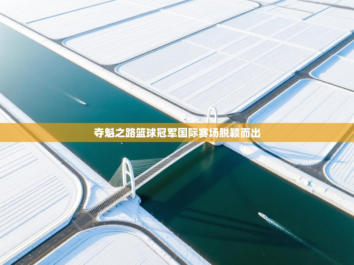 夺魁之路篮球冠军国际赛场脱颖而出  第1张