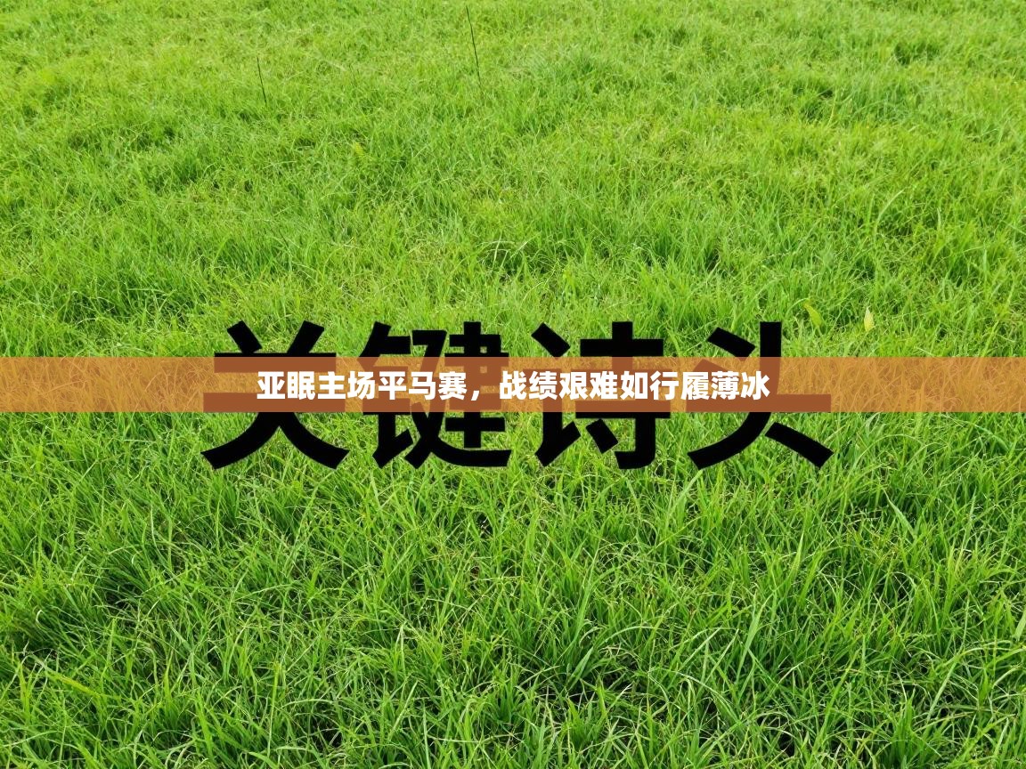 亚眠主场平马赛，战绩艰难如行履薄冰  第1张